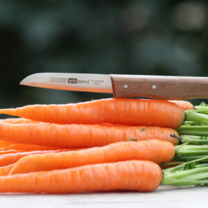 Gemüsemesser aus Solingen mit rostfreier Klinge und Buchenholzgriff