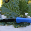 Taschenmesser mit Teflonklinge und blauen Griffschalen