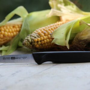 Küchenmesser mit rostfreier Klinge